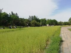 -北坞公园