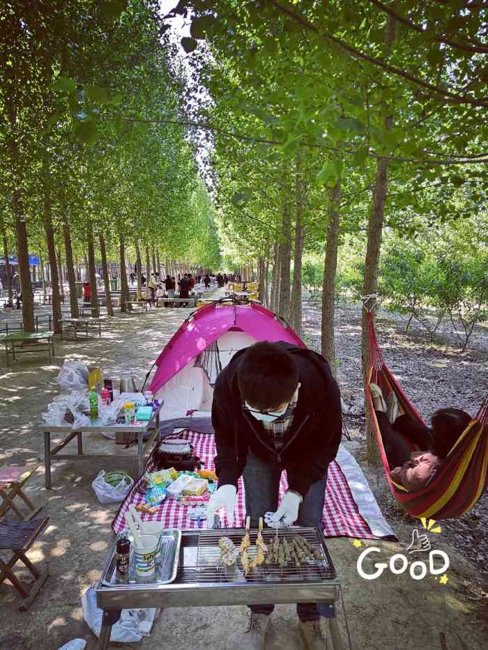 鹊华开心农场-"地点在泺口浮桥北,环境很好,大片的树林,.