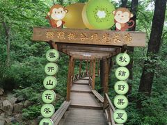 -大岭沟猕猴桃谷风景区