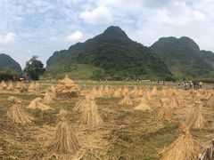 -靖西鹅泉风景区
