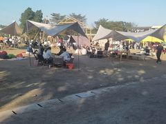 -长洲岛都市农业公园