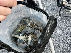 -DGE季风钓虾营地·团建·聚会