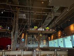 -同仁四季椰子鸡(宝安壹方城店)
