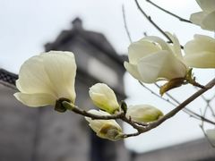 -莲池书院博物馆