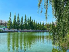 -恋羊时代黑山羊火锅(滨海大道店)