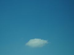 -羊山湖公园