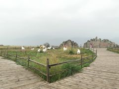 -敕勒川草原文化旅游区