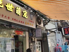 -清平路水族市场