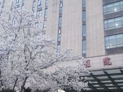 -上海交通大学医学院附属仁济医院(南院)