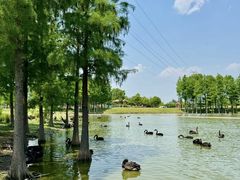 -泉州海丝野生动物世界