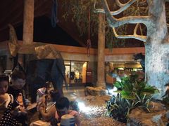 -清迈夜间动物园