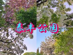 -泰丰公园