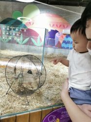 点击看大图 -七巧国萌宠乐园(龙湖天街店)