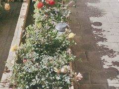 -浔岚云舍mist静谧观景美宿(丽江古城店)