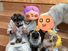 -和它·交个朋友·狗咖猫咖(爱琴海店)