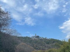 -苏州上方山国家森林公园