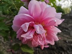 -江南大学(蠡湖校区)