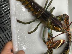 -阿浪海鲜连锁•海鲜加工•老字号(第一市场店)