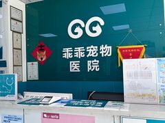 -乖乖宠物医院·猫科·急重症中心(车站北路分院)
