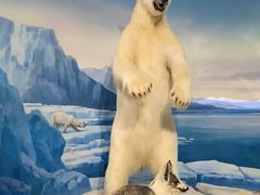 -陕西自然博物馆