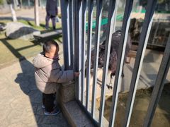 -水绘园