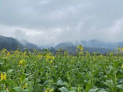 -寨沙侗寨(侗族歌堂)