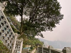 -新都巷步道