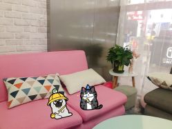 -doladola(徐家汇店)