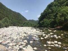 -黑河国家森林公园