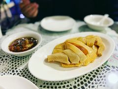 走地鸡-熠盛粤味·顺德桑拿鸡(永康路店)