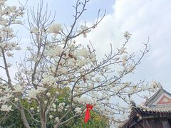 -长春观