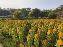 -广州莲花山旅游区