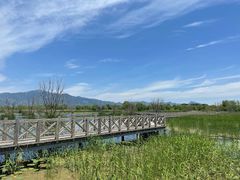 -野鸭湖国家湿地公园