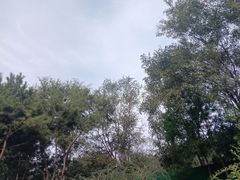 -东升文体公园
