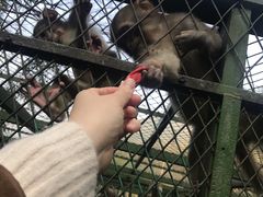 -藏龙百瀑风景区