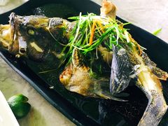 -亚龙湾8号(丁村万人海鲜广场店)