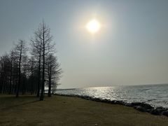 -苏州东太湖生态园