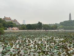 -顺峰山公园