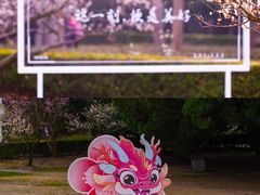 -梅花山(明孝陵内)