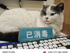 -美迦爱-牙专科·兔科·骨科诊疗中心(北苑店)