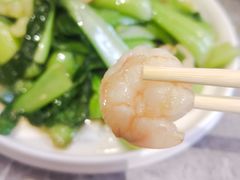 -渡海小渔村.老辈日照菜