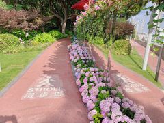 -北外滩滨江绿地