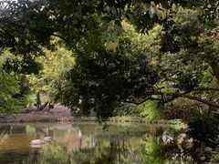 -成都市活水公园