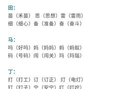 -北京第二实验小学