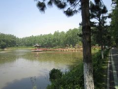 -合肥滨湖国家森林公园