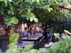 -The Grounds of Alexandria
