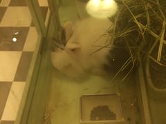 -龙猫仔乐园(惠福东路店)