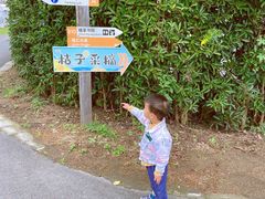 -前小桔亲子创意农场·草莓采摘·露营烧烤