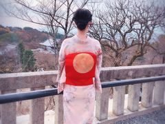 -有栖山 清光院 清水寺
