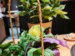 -一朵菌·野生菌探索家火锅(南亚店)